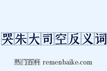 哭朱大司空反义词是什么意思的图片